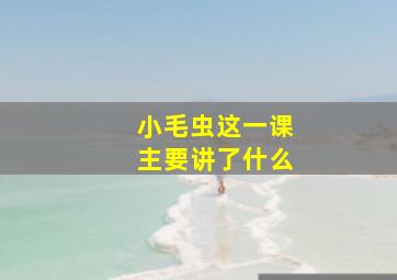 小毛虫这一课主要讲了什么