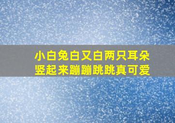 小白兔白又白两只耳朵竖起来蹦蹦跳跳真可爱