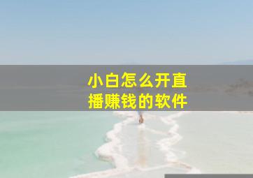 小白怎么开直播赚钱的软件