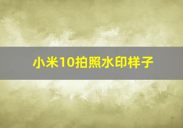 小米10拍照水印样子