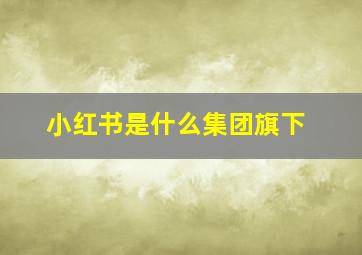 小红书是什么集团旗下