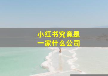 小红书究竟是一家什么公司