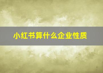 小红书算什么企业性质