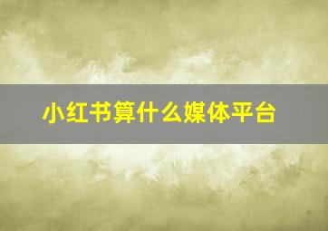 小红书算什么媒体平台