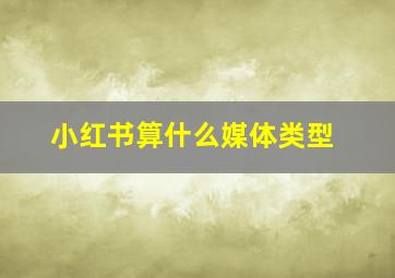 小红书算什么媒体类型