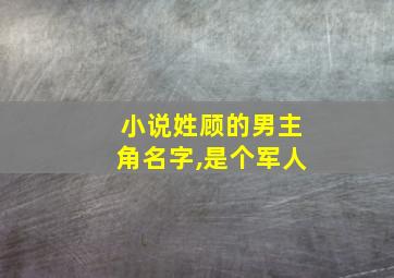 小说姓顾的男主角名字,是个军人