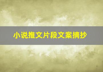 小说推文片段文案摘抄