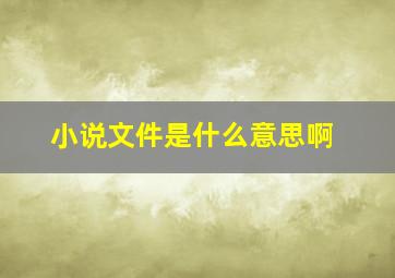 小说文件是什么意思啊