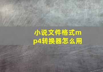 小说文件格式mp4转换器怎么用