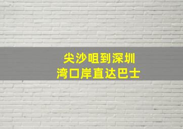 尖沙咀到深圳湾口岸直达巴士