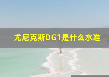 尤尼克斯DG1是什么水准