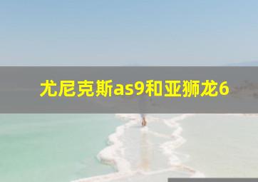 尤尼克斯as9和亚狮龙6