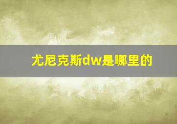 尤尼克斯dw是哪里的