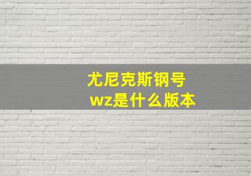 尤尼克斯钢号wz是什么版本