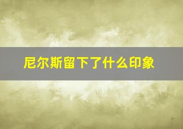 尼尔斯留下了什么印象