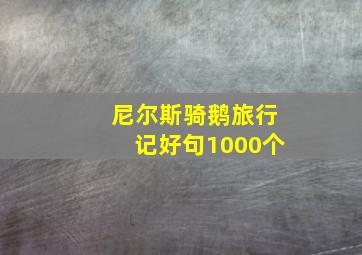 尼尔斯骑鹅旅行记好句1000个