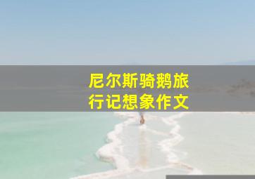 尼尔斯骑鹅旅行记想象作文