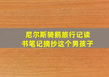 尼尔斯骑鹅旅行记读书笔记摘抄这个男孩子