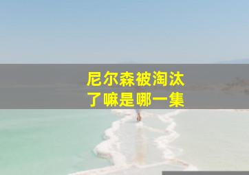 尼尔森被淘汰了嘛是哪一集