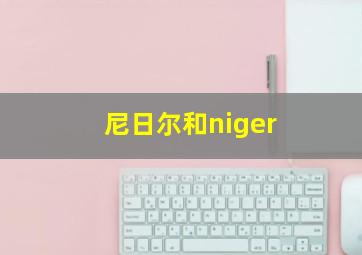 尼日尔和niger