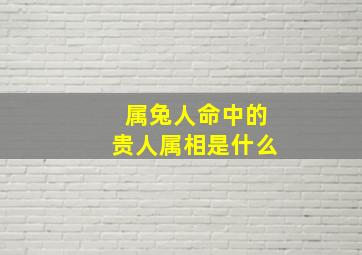 属兔人命中的贵人属相是什么