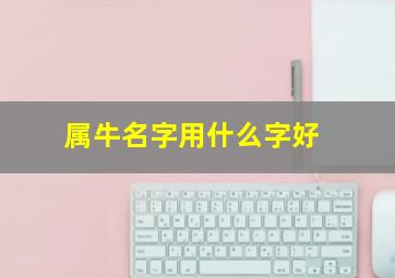 属牛名字用什么字好