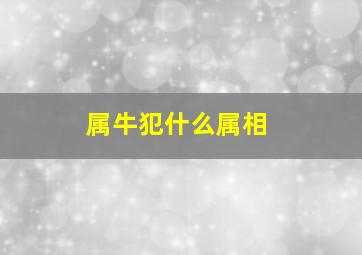 属牛犯什么属相