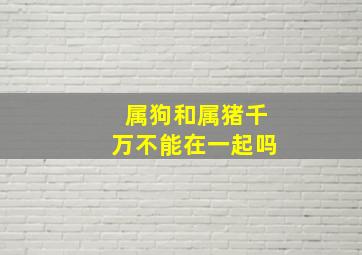 属狗和属猪千万不能在一起吗