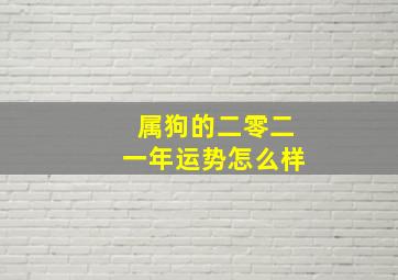 属狗的二零二一年运势怎么样