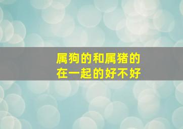 属狗的和属猪的在一起的好不好