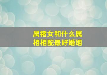 属猪女和什么属相相配最好婚姻