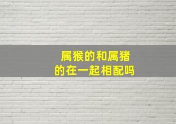 属猴的和属猪的在一起相配吗