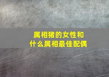 属相猪的女性和什么属相最佳配偶