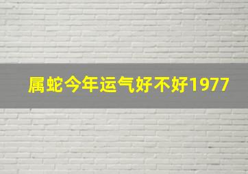 属蛇今年运气好不好1977