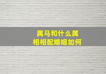 属马和什么属相相配婚姻如何