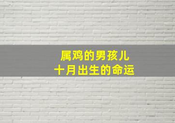 属鸡的男孩儿十月出生的命运