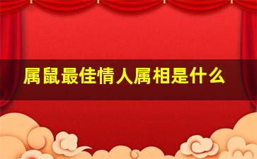 属鼠最佳情人属相是什么