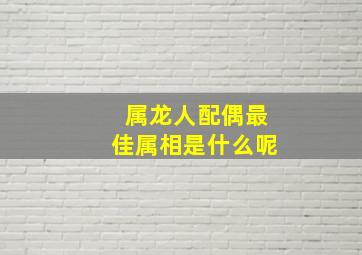 属龙人配偶最佳属相是什么呢