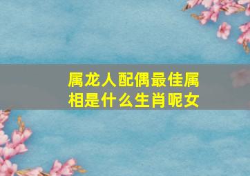 属龙人配偶最佳属相是什么生肖呢女