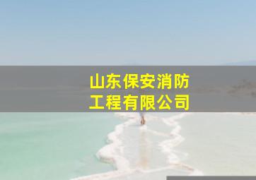 山东保安消防工程有限公司