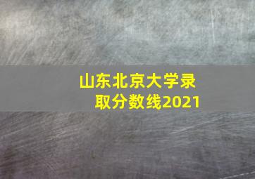 山东北京大学录取分数线2021