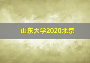 山东大学2020北京