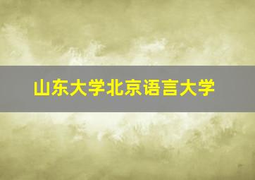 山东大学北京语言大学