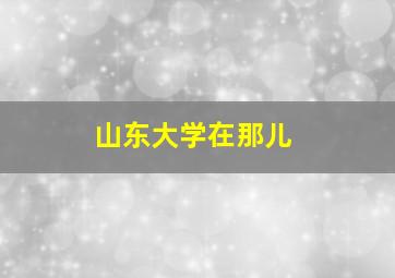 山东大学在那儿