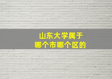 山东大学属于哪个市哪个区的