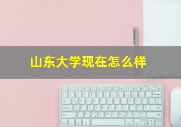 山东大学现在怎么样