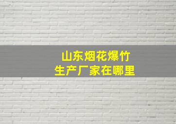 山东烟花爆竹生产厂家在哪里