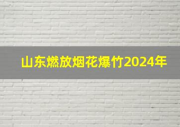 山东燃放烟花爆竹2024年