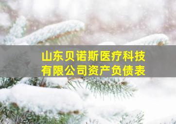 山东贝诺斯医疗科技有限公司资产负债表