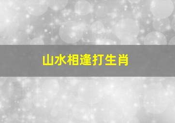 山水相逢打生肖